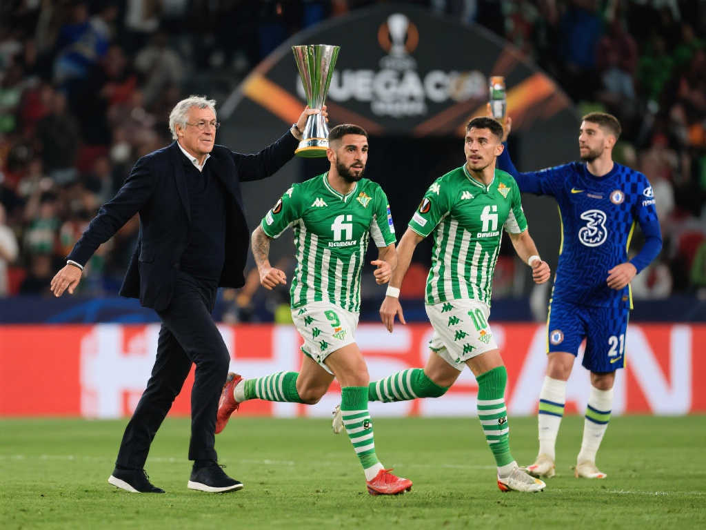 阵容出战C 阵容出战C