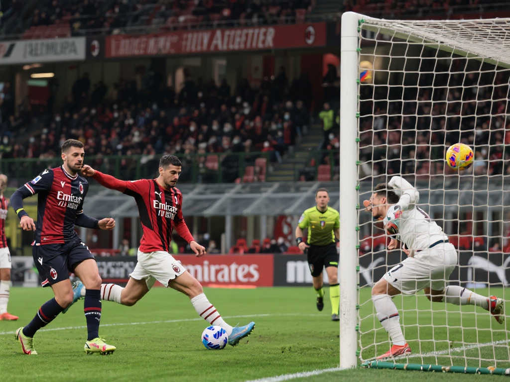 成了一个蓬 成了一个蓬